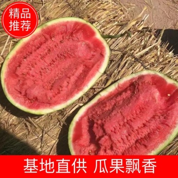 产地直供靖远县金花一号硒砂瓜，一手货源个头大保值欲购从速