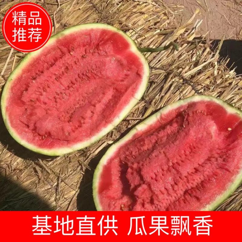 产地直供靖远县金花一号硒砂瓜，一手货源个头大保值欲购从速