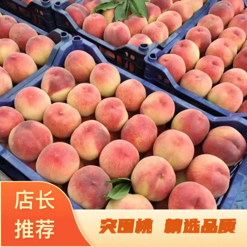 桃突围桃河北突围桃，产地直销，全国发货！一手货源