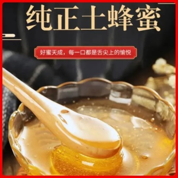 【精选】现货供应一手蜂蜜蜂蜜批发神农架土蜂蜜