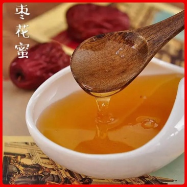 【蜂蜜批发】枣花蜜高浓度蜜营养丰富量大从优
