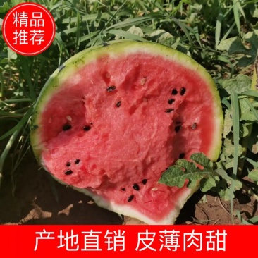 内蒙西瓜甜王西瓜皮薄超甜西瓜赤峰西瓜农户自种现摘现发