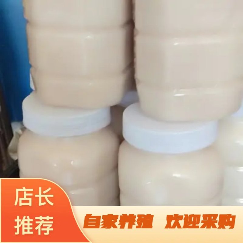 蜂蜜荆条花蜜欢迎各位老板前来采购当天下单当天发货。