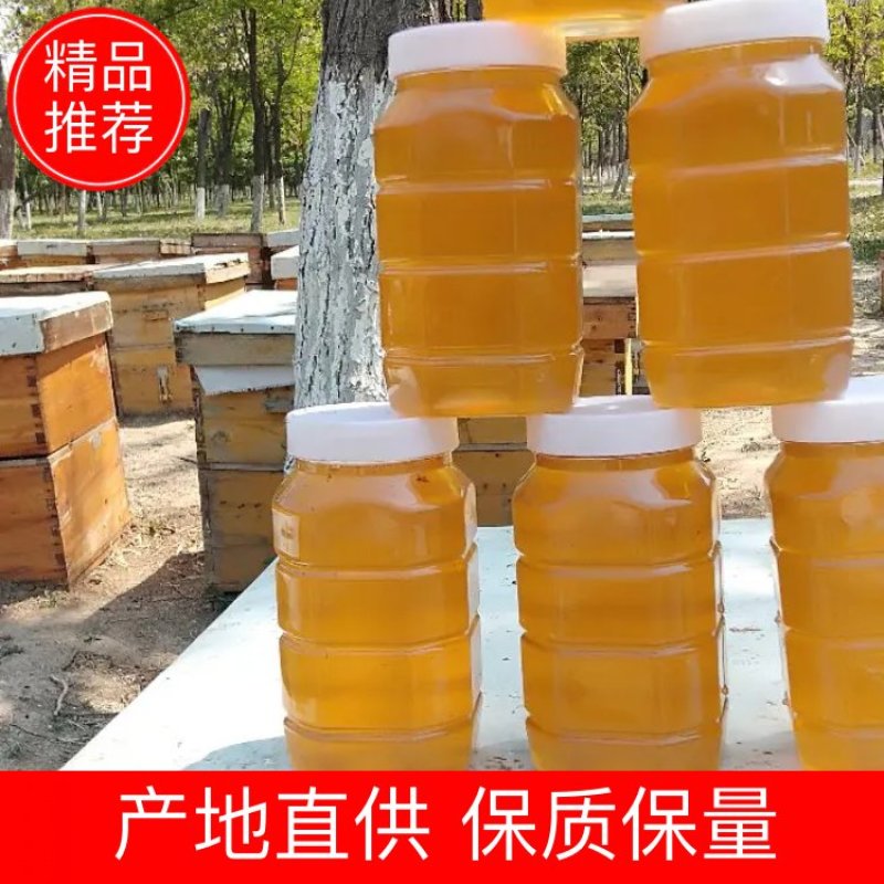 蜂蜜槐花蜜自家养殖蜜蜂质量有保证当天下单直接发货