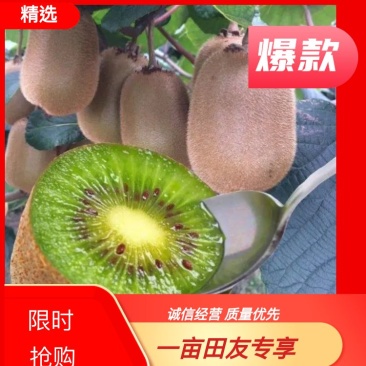 (精选猕猴桃米良1号)大量上市中，电商团购供应等
