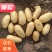 云南保山施甸。大量现货土豆，黄，红，红薯紫色。