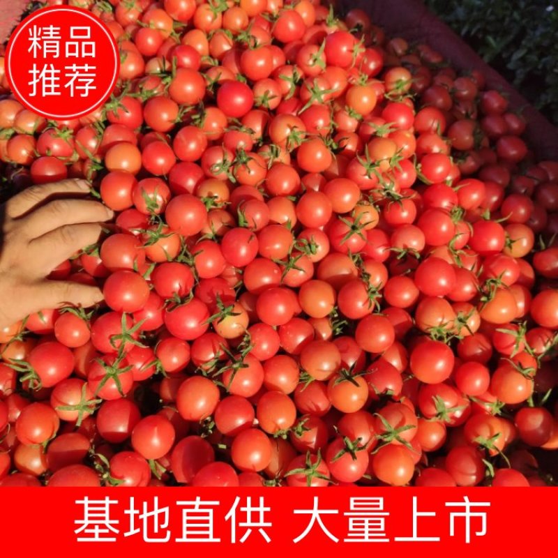 粉贝贝本地粉贝贝，粉多美，粉贝二号可以视频看货