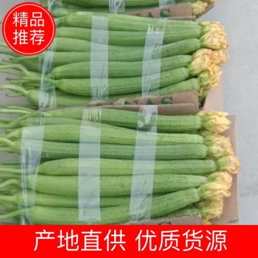 丝瓜
