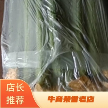 精品绿色中绿鲜花丝瓜！