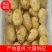 山东大棚土豆大量供应，荷兰十五，欢迎致电合作