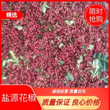 四川精品花椒产地直发品质保证一手货品欢迎联系