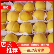 【热卖中】蒙阴蜜桃产地直发看货论价，保质保量，欢迎选购