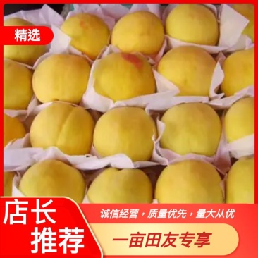 【热卖中】蒙阴蜜桃产地直发看货论价，保质保量，欢迎选购