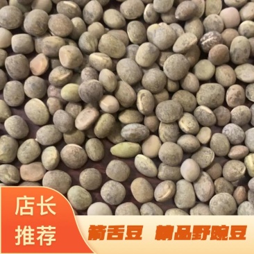 箭舌豆，精品野豌豆基地直供支持视频看货欢迎选购
