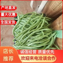 陇南架豆王，豆王，无劲豆，四季豆大量有货，量大从优