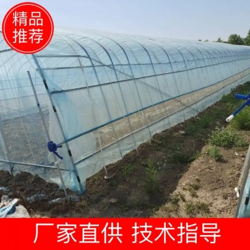 大棚骨架种植棚插地棚西瓜棚蔬菜棚