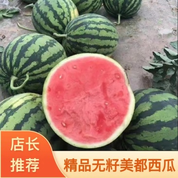 大西北产区精品美都西瓜，麒麟瓜，质量保证！产地直