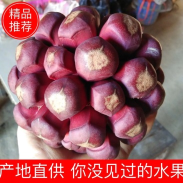 黑老虎果湖南黑老虎果产地直发核果仁果类水果