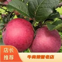 四川精品红将军苹果代购代收产地直发全国寻找合作伙伴