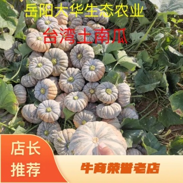 南瓜，小金香南瓜，2斤一3斤多