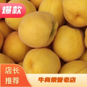 黄桃山东黄桃个大脆甜欢迎老板前来洽谈合作