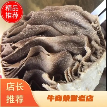四川重庆整个毛肚百叶火锅食材涮牛毛肚带底板冷整半块成品