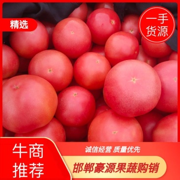 西红柿,品质好,价格优,本地西红柿上市中,各种蔬菜供应,