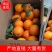 【一手货源】赣南脐橙量大从优产地直销对接各大市场