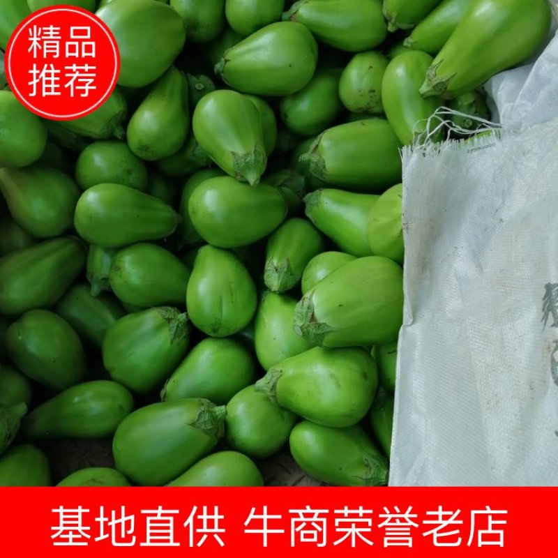 青茄4两以上茄子基地茄子批发青茄子