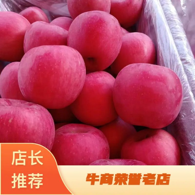 绥中县红富士苹果，苹果颜色漂亮，口感好，欢迎来电采购