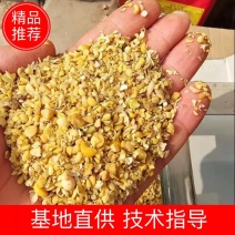 碎大豆，碎大豆，上地肥料黄豆，养殖饲料大豆，膨化黄豆