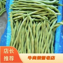 【推荐】山东聊城四季豆无筋豆大量上市供应电商商超社区