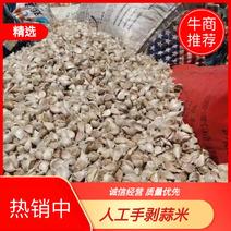 【河北邯郸永年区】大量上市蒜瓣各种规格四六瓣蒜种纯人工拔瓣