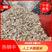 【河北邯郸永年区】大量上市蒜瓣各种规格四六瓣蒜种纯人工拔瓣