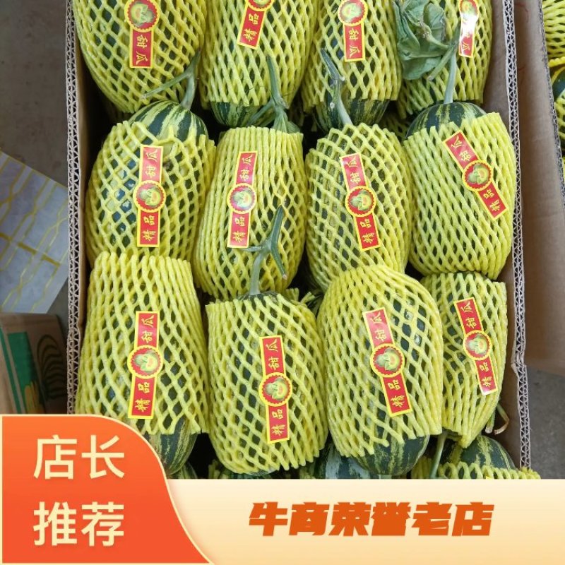 新乐市甜瓜大量上市欢迎新老顾客前来选购随到随装车