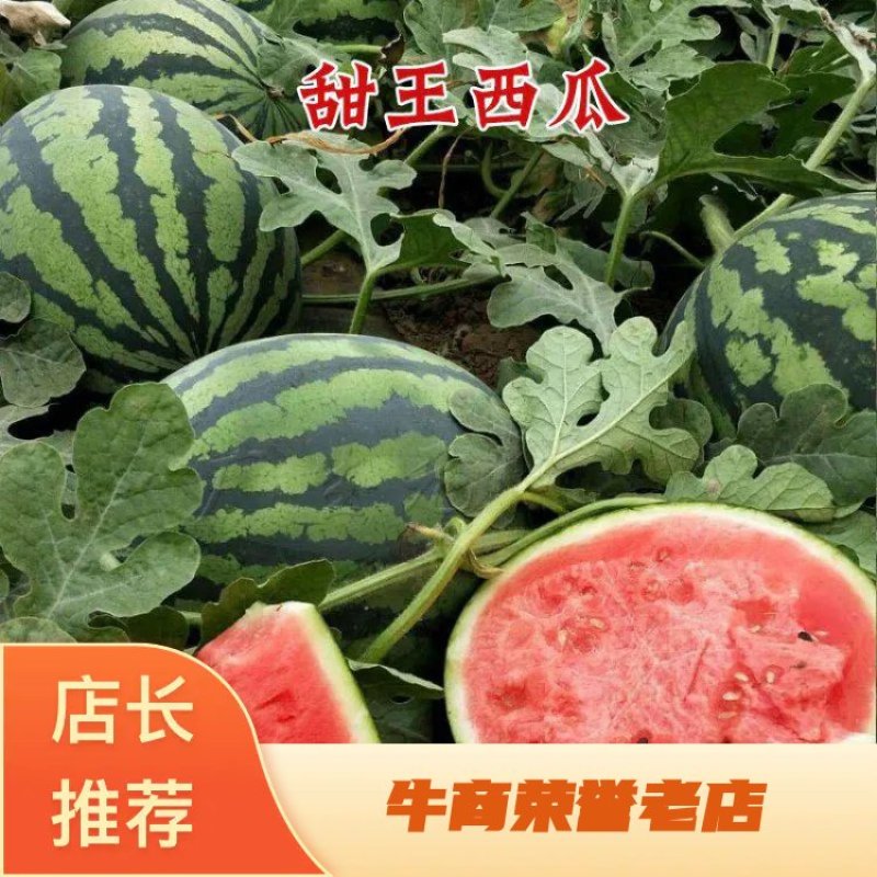 泗水大棚甜王西瓜大量上市，优选品质欢迎各地客商产地看货
