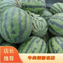 京欣西瓜，大量上市，货源充足，品质保证，欢迎选购