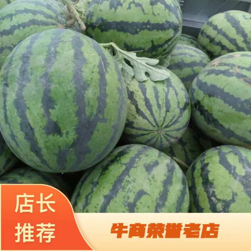 京欣西瓜，大量上市，货源充足，品质保证，欢迎选购