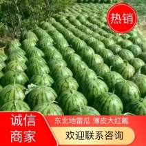 东北西瓜，精品地雷瓜上市，火爆热卖中，联系我视频看货！