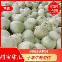 【精品】河南许昌鄢陵甜宝甜瓜，全国发货，质量