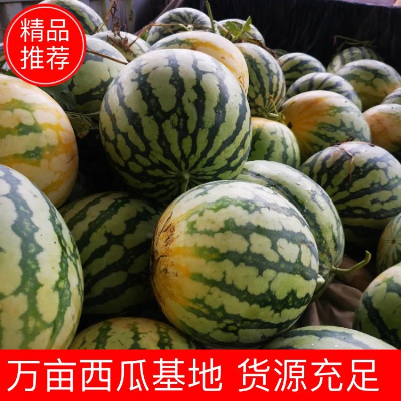 【爆款】头茬美都大量上市中，万亩基地，囗感超甜，量大从优。