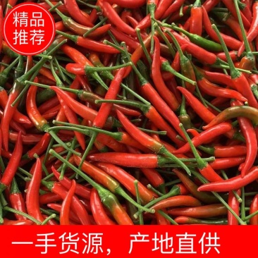 精品艳红辣椒一手货源，货源充足，代发全国