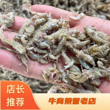 山东饲料鱼节头鱼喂鱼虾蟹鸡鸭鹅专用饲料
