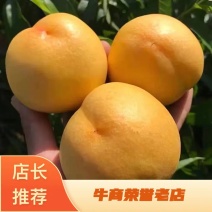 重庆市开州区黄桃品质好糖度高是理想的贡品