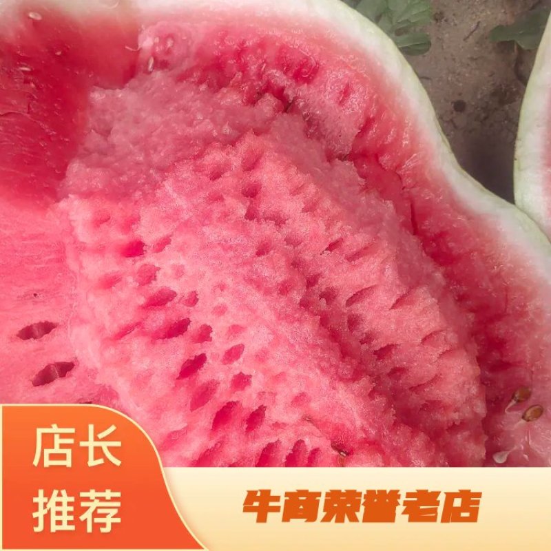 【推荐】精品金城5号西瓜，新疆西瓜昌吉产地，全国发货包熟