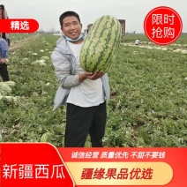 【牛商推荐】新疆金城5号西瓜昌吉西砂瓜口感特甜量大很优惠