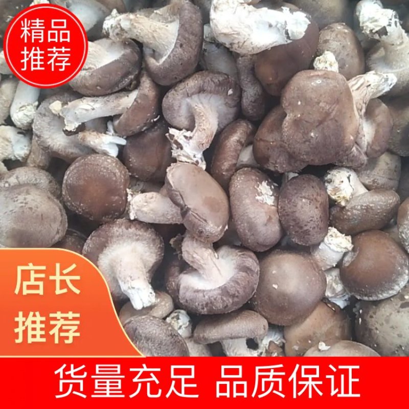 3-5公分规格，大集电商平台工厂专用香菇量大优惠