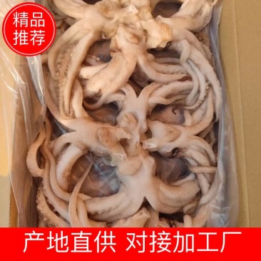 机洗头鱿鱼系列常年售卖冷链发货质量保障