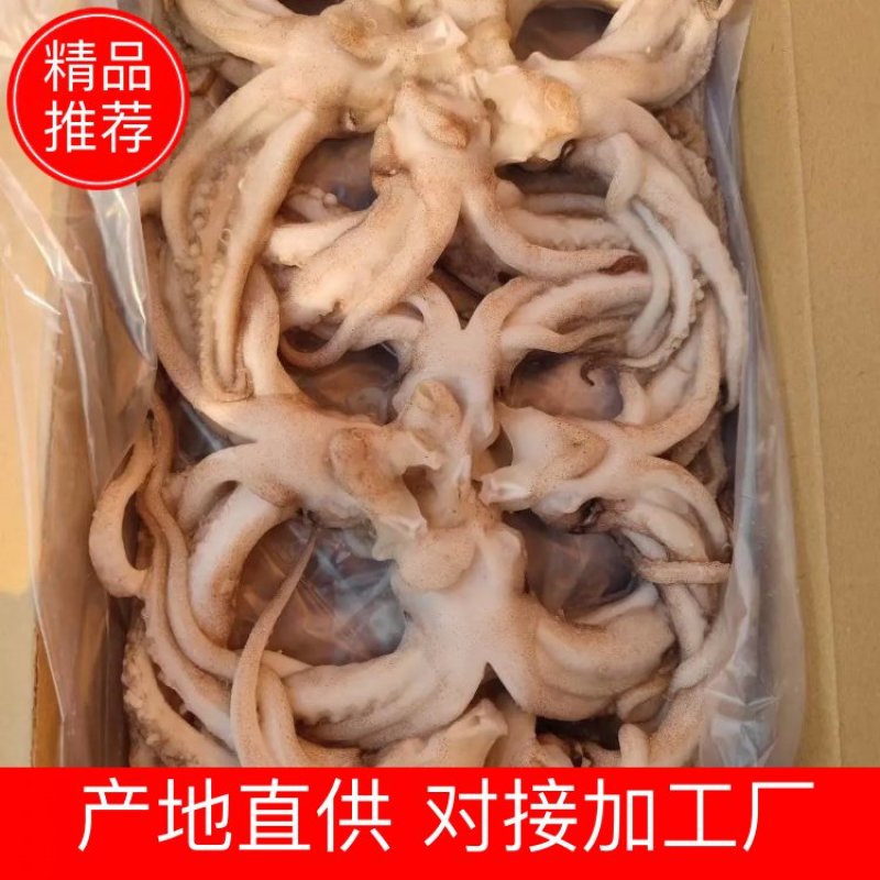 机洗头鱿鱼系列常年售卖冷链发货质量保障