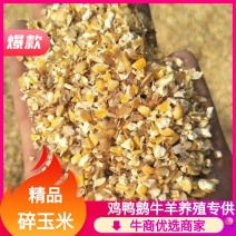 厂家直销动物饲料碎玉米玉米下脚料干净玉米碎批发量大优